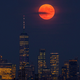 Image for article titled The Case Against the Apollo 11 Moon Mission